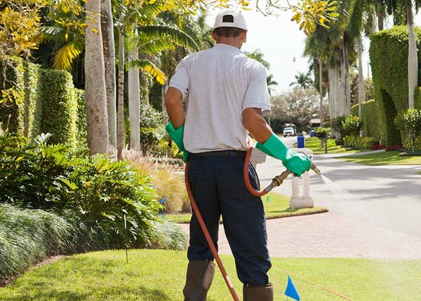 About Pomeroy OH Pest Control Pros